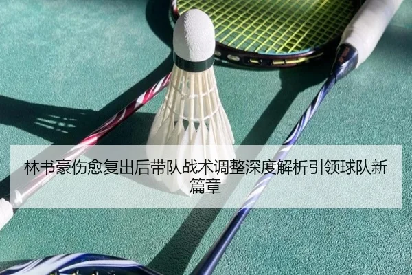 林书豪伤愈复出后带队战术调整深度解析引领球队新篇章