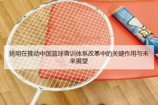 姚明在推动中国篮球青训体系改革中的关键作用与未来展望